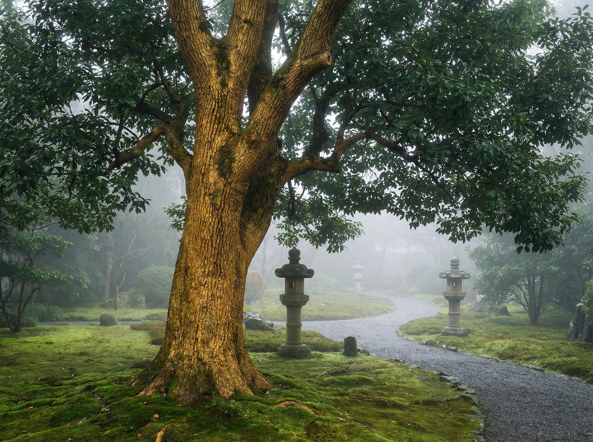 芒果视频楠木视频